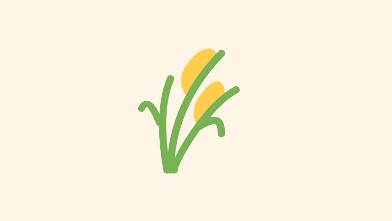 Gluten Free Wheat